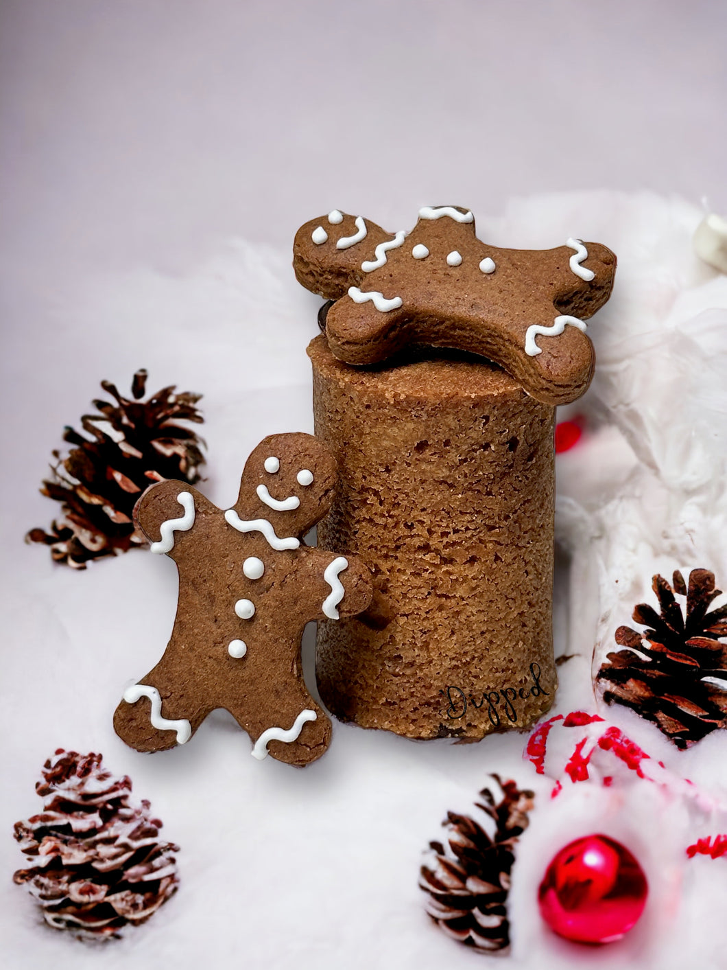 <PREORDER> DIPPED Festive Cookie with Gingy, 12pcs in a box
